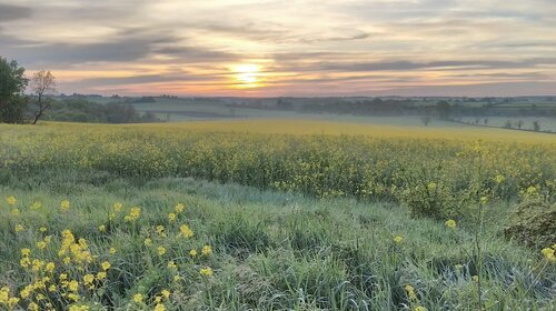 Agriculture et viniculture dans le passé de Bresnay