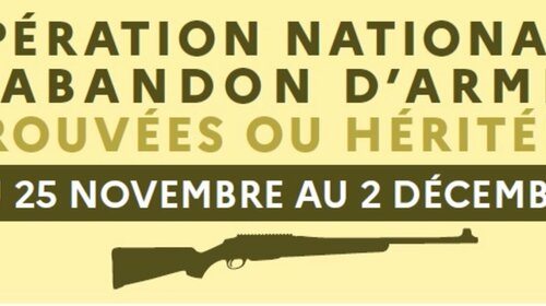 Opération nationale d'abandon d'arme