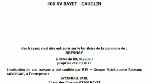 Travaux élagage et abattage pour entretien des lignes électriques 