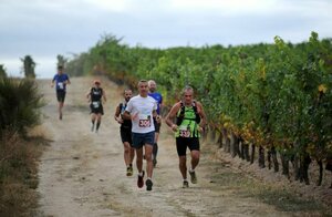 Vin’Scène en Bourbonnais c'est dimanche et il est encore temps de s'inscrire