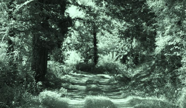 Chemin