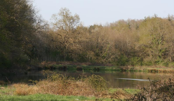 Etang