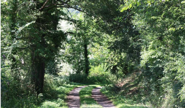 Chemin
